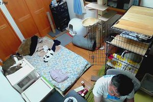 23時15分 ごろ