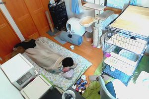 09時05分 ごろ