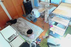 10時10分 ごろ