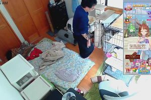10時40分 ごろ