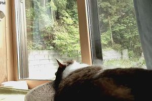 14時40分 ごろ