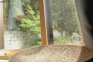 10時35分 ごろ