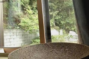 11時25分 ごろ
