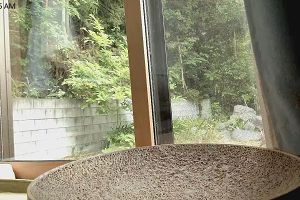 11時50分 ごろ