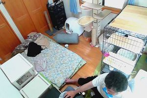 13時45分 ごろ