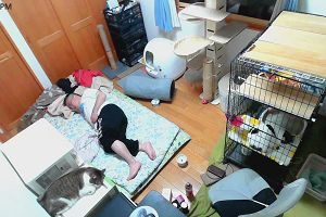20時55分 ごろ