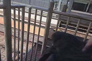 10時45分 ごろ