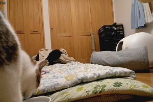 20時15分 ごろ