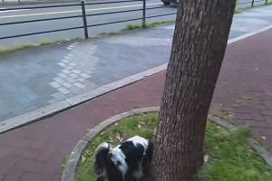 18時45分 ごろ