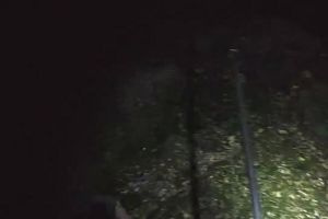00時50分 ごろ