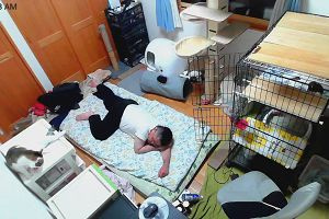00時20分 ごろ