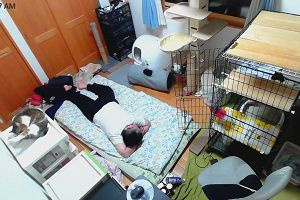 00時50分 ごろ