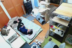 00時55分 ごろ