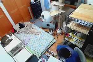 21時55分 ごろ