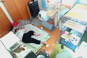 12時15分 ごろ