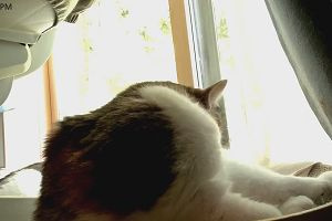 14時10分 ごろ