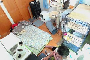 16時05分 ごろ