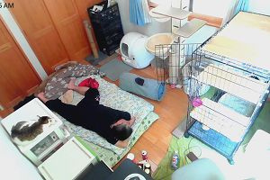 11時55分 ごろ