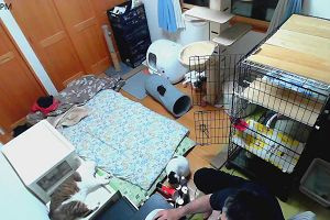 19時45分 ごろ