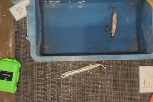 22時05分 ごろ
