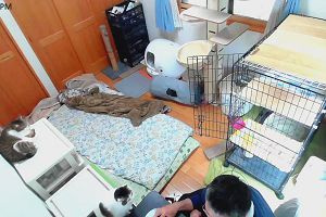 16時40分 ごろ