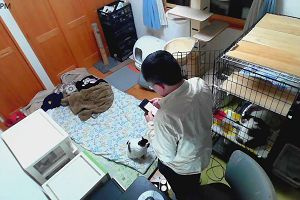 21時25分 ごろ