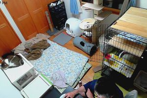 23時00分 ごろ
