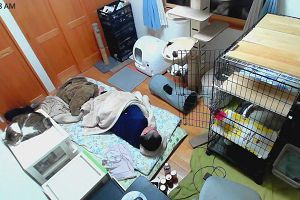 00時35分 ごろ