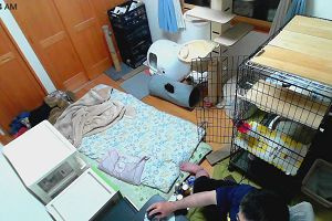 00時40分 ごろ
