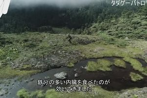 21時10分 ごろ