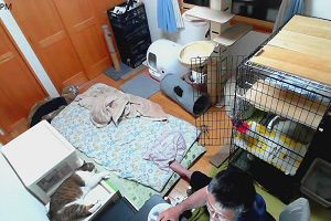 20時50分 ごろ