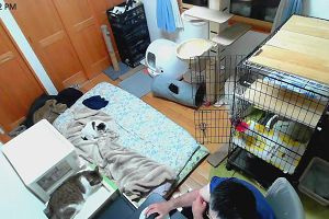 23時30分 ごろ