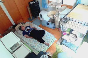 11時35分 ごろ
