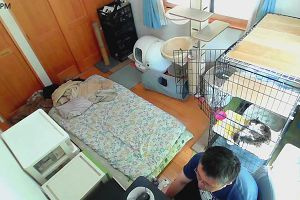 13時30分 ごろ