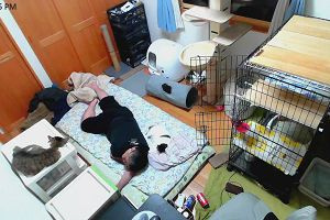 23時45分 ごろ