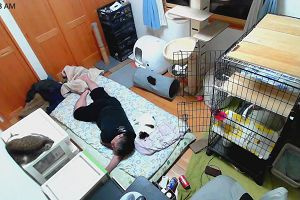 00時00分 ごろ