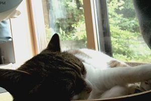 14時35分 ごろ