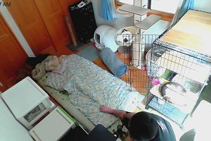 10時05分 ごろ