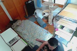 10時35分 ごろ