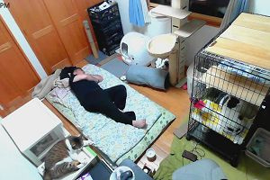 21時00分 ごろ