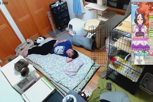 00時45分 ごろ