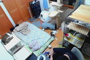 20時35分 ごろ