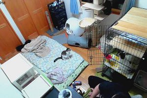 21時15分 ごろ