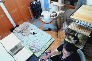 22時30分 ごろ