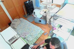 10時40分 ごろ