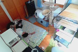10時35分 ごろ