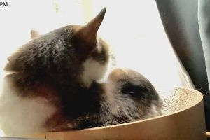 13時55分 ごろ