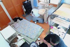 17時05分 ごろ