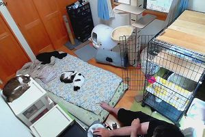18時15分 ごろ