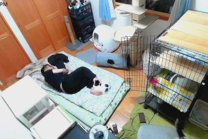 19時30分 ごろ